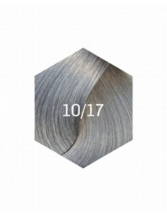 COLLAGE PERMANENT FARVE 10/17