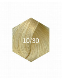 COLLAGE PERMANENT FARVE 10/30