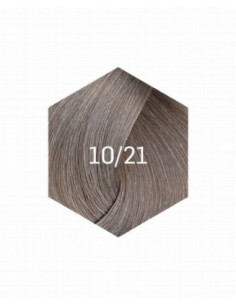 COLLAGE PERMANENT FARVE 10/21