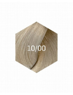 COLLAGE PERMANENT FARVE 10/00