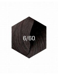 COLLAGE PERMANENT FARVE 6/60