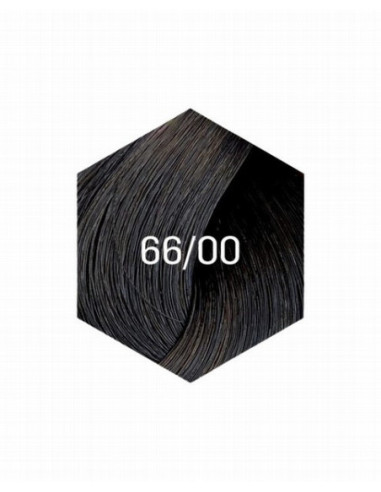 COLLAGE PERMANENT FARVE 66/00