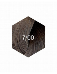 COLLAGE PERMANENT FARVE 7/00