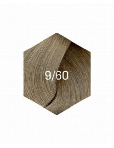 COLLAGE PERMANENT FARVE 9/60