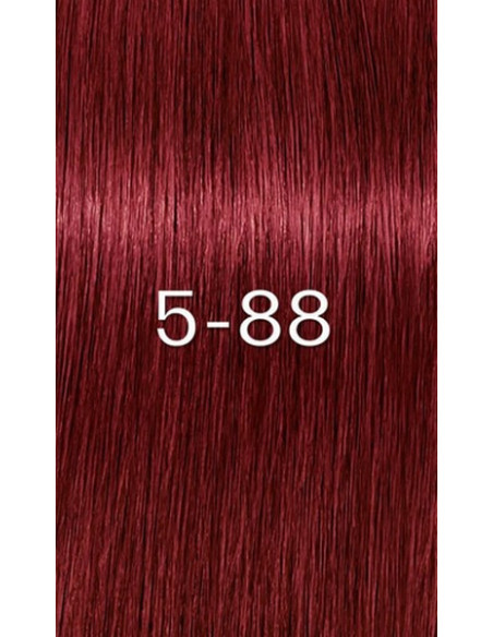IG ZERO AMM 5-88 matu krāsa 60ml