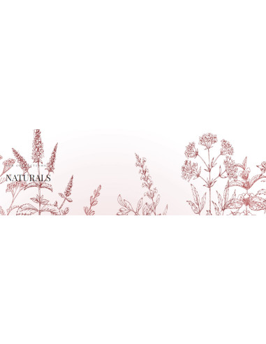 Naturals Losjons ķermenim, dārza roze...