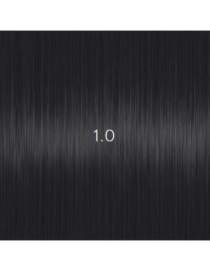 AURORA 1.0 permanent...