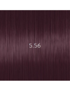 AURORA 5.56 permanent...