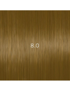 AURORA 8.0 permanent...