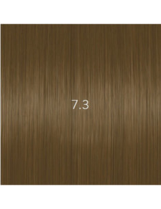 AURORA 7.3 permanent...