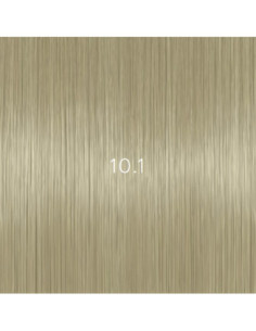 AURORA 10.1 permanent...