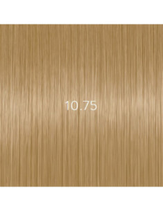 AURORA 10.75 permanent...