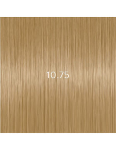 AURORA 10.75 Demi-permanent...