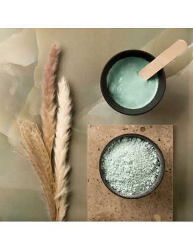 SkinSystem ALGO BOTANIC Rensemaske 500g