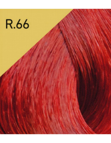 COLOR LUX Hårfarve R.66 100ml