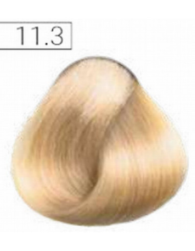 Absoluk Permanent Hårfarve 11.3 100ml