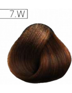 Absoluk Permanent Hårfarve...