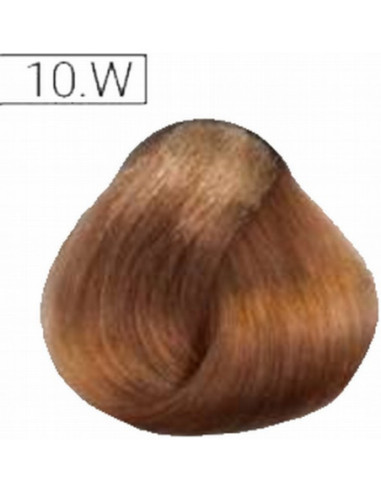 Absoluk Permanent Hårfarve 10W 100ml