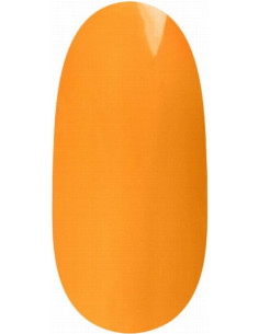 Gelpolish UV/LED - 1058