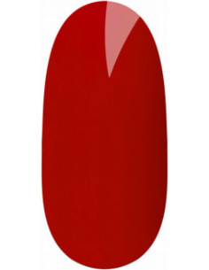 Gelpolish UV/LED - 1079