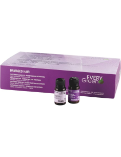 EVERYGREEN REGENERERENDE...