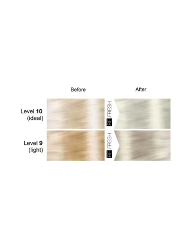 Re.Fresh SILVER toningsmaske 250ml