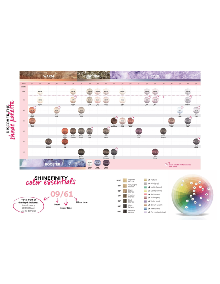 06/73 SHINEFINITY GOLD 60ml