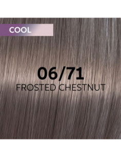 06/71 SHINEFINITY CHESTNUT...