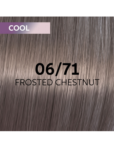 06/71 SHINEFINITY CHESTNUT 60ml