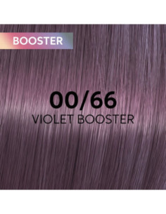 00/66 SHINEFINITY VIOLET