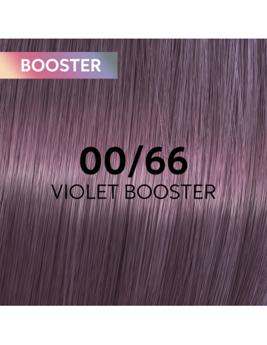 00/66 SHINEFINITY VIOLET